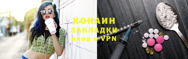 прущие грибы Козловка