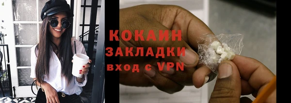 прущие грибы Козловка