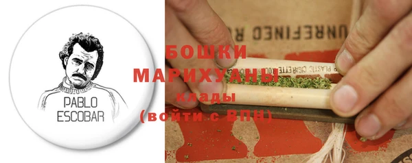 прущие грибы Козловка