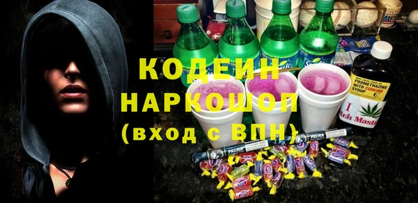 прущие грибы Козловка