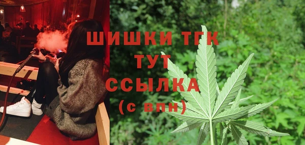 прущие грибы Козловка
