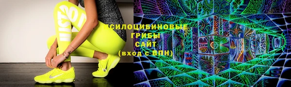 спиды Кодинск