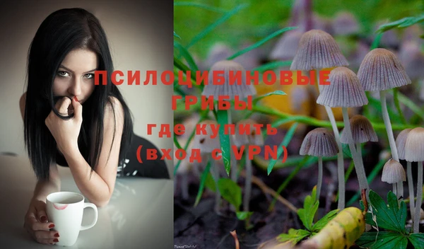 прущие грибы Козловка