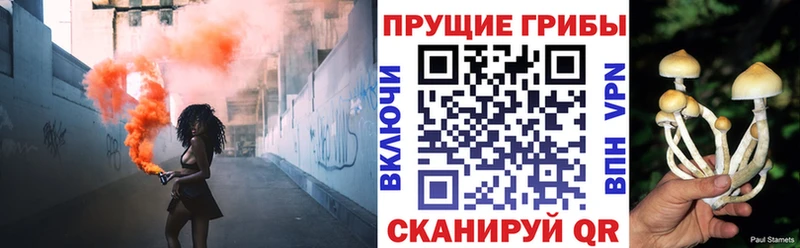 Галлюциногенные грибы Magic Shrooms  Купить  Будённовск 